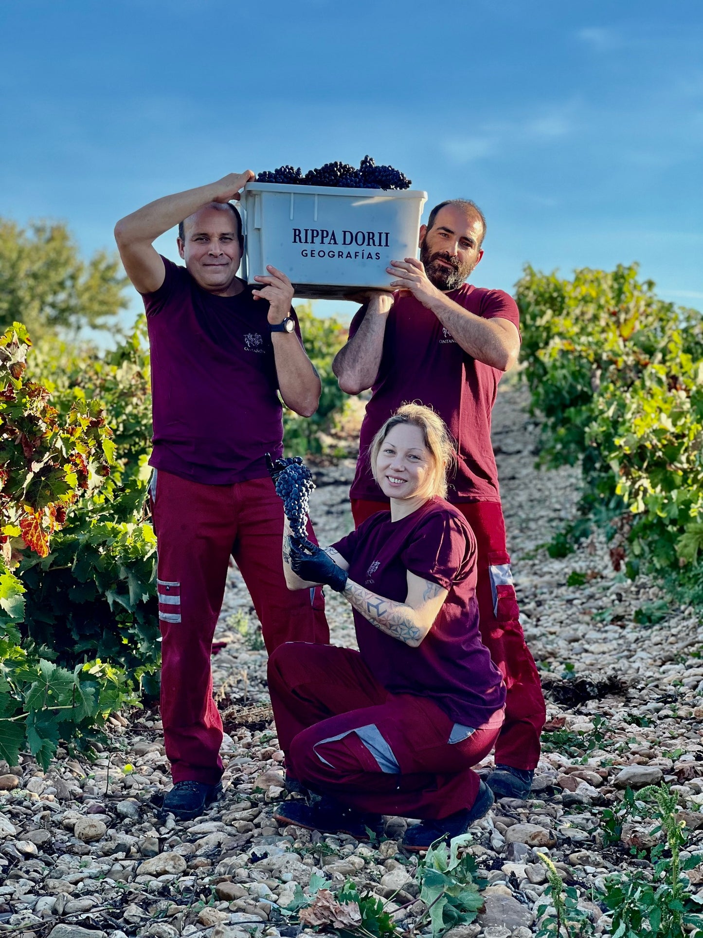 BODEGAS RIPPA DORII, 'SALOMON', Ribera del Duero, 2020