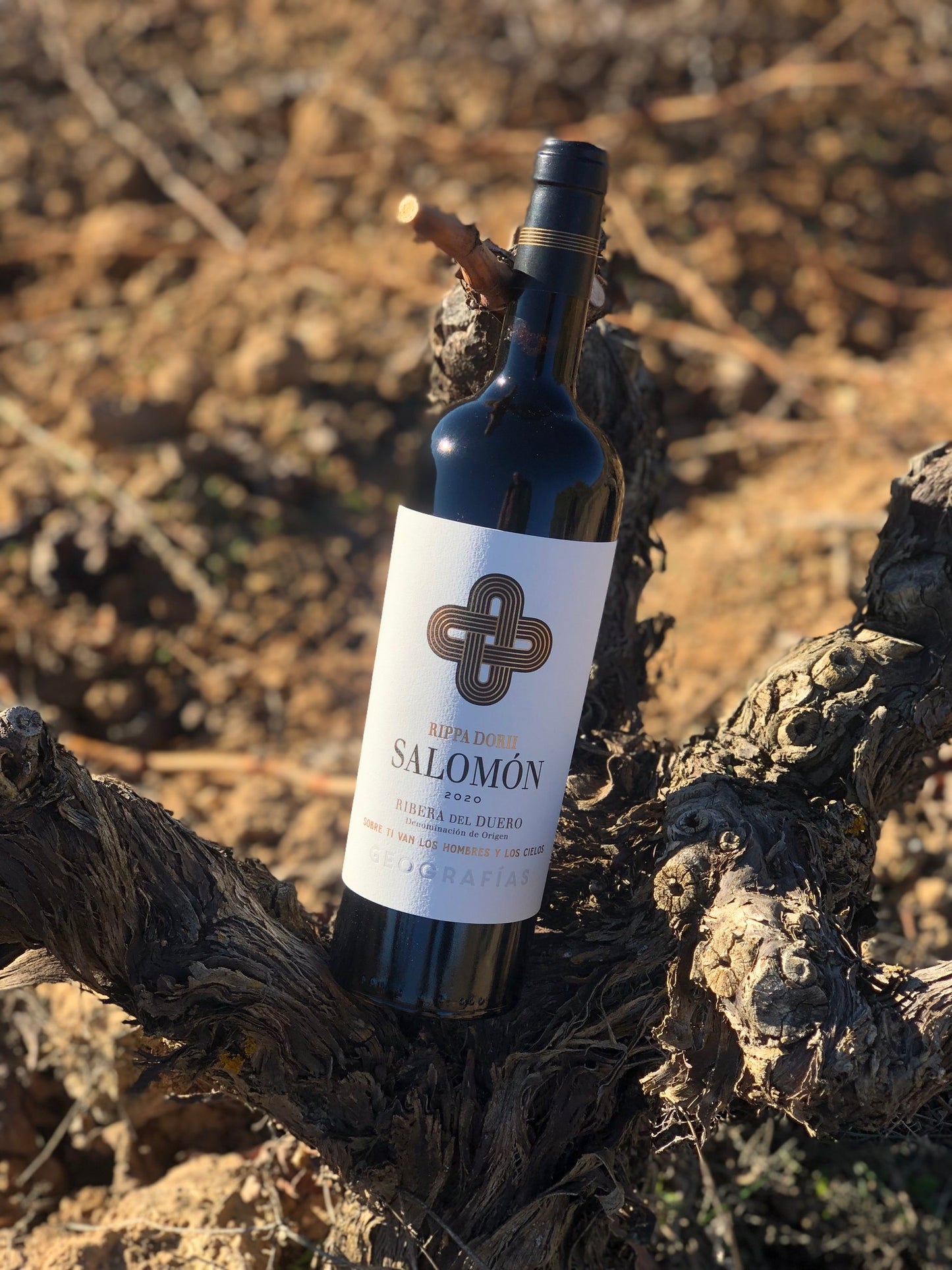 BODEGAS RIPPA DORII, 'SALOMON', Ribera del Duero, 2020