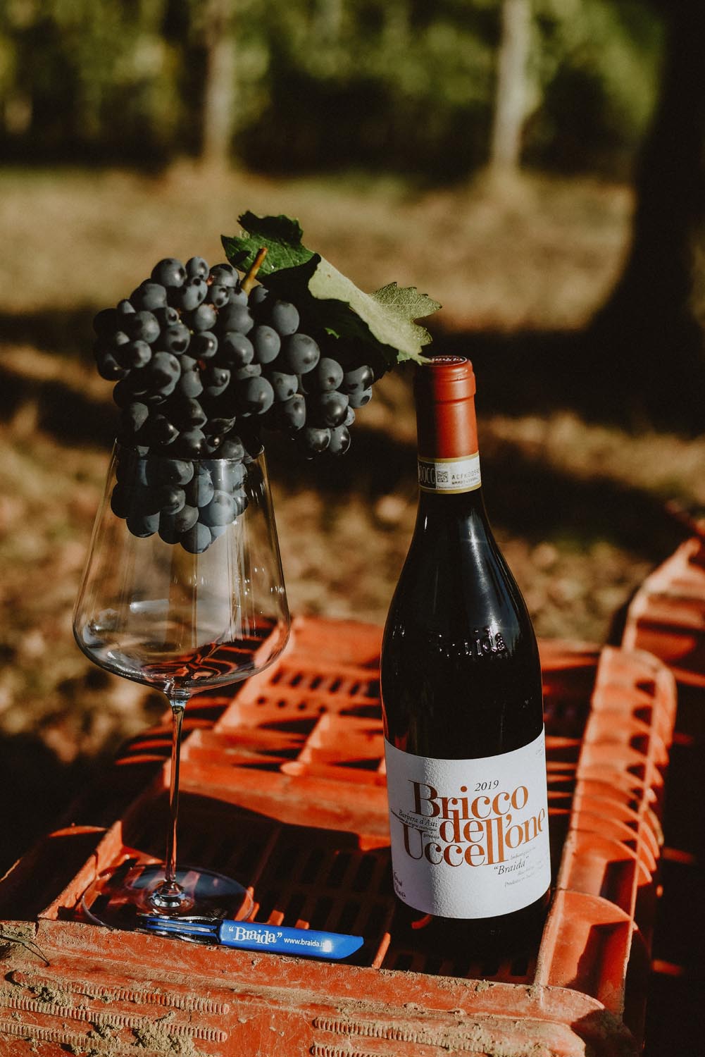 BRAIDA, Barbera d'Asti, Bricco Dell Uccellone, 2019