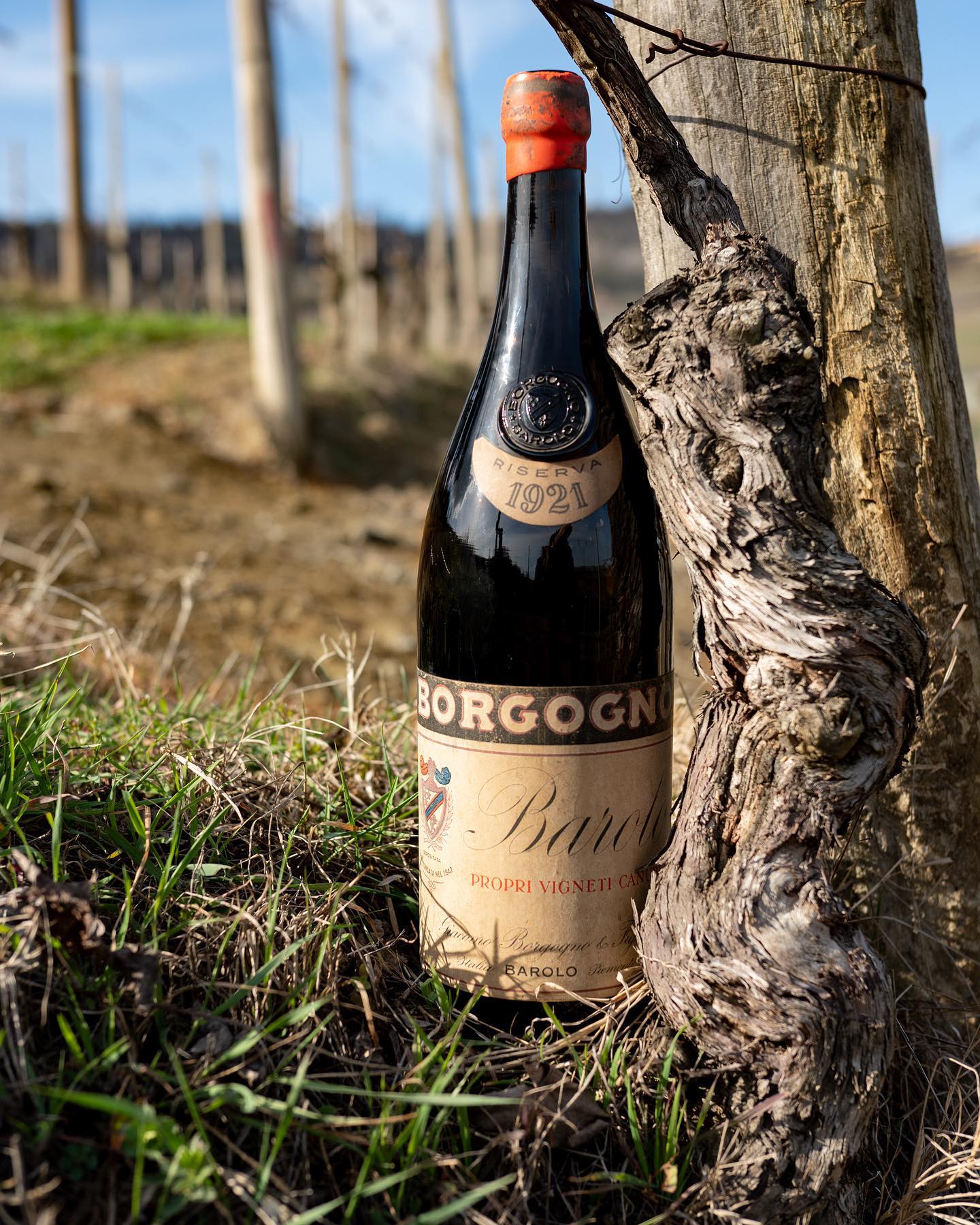 BORGOGNO, Barolo Riserva, 2016
