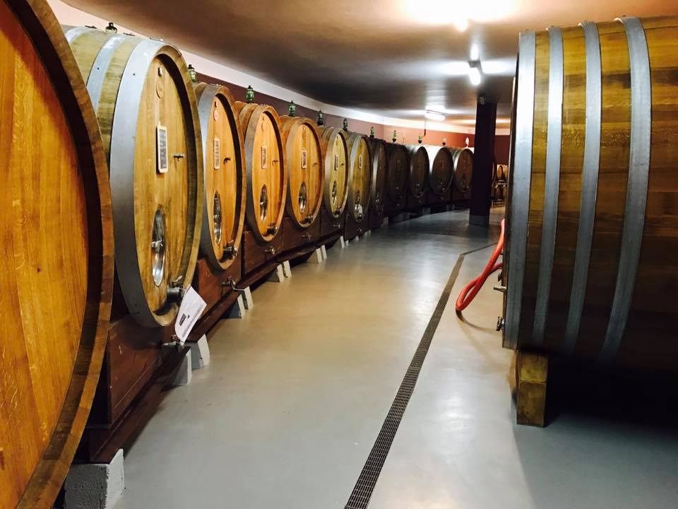BORGOGNO, Barolo Cannubi, 2017