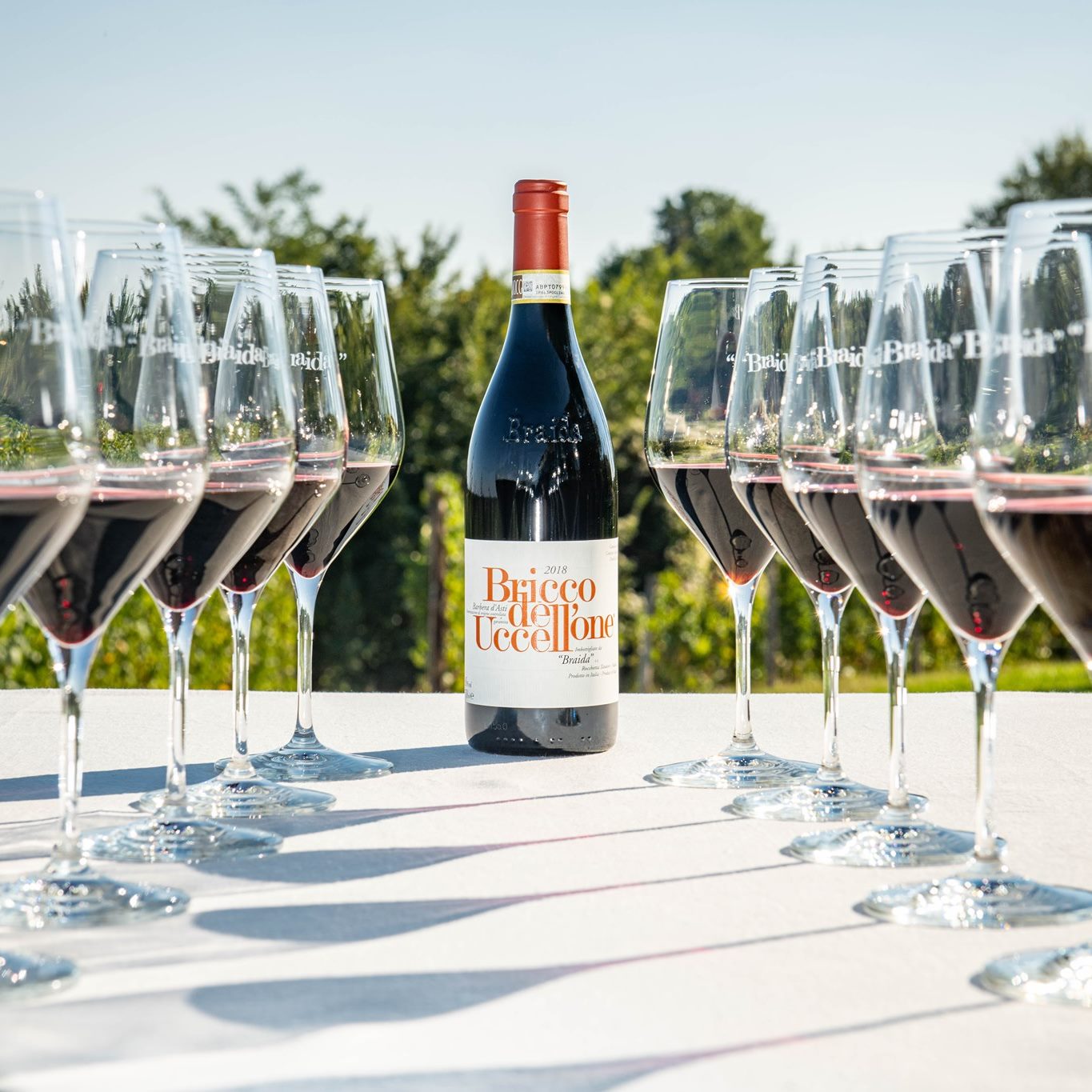 BRAIDA, Barbera d'Asti, Bricco Dell Uccellone, 2019