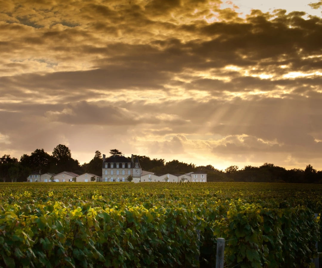 CHATEAU GRAND-PUY-LACOSTE, Pauillac, 2017