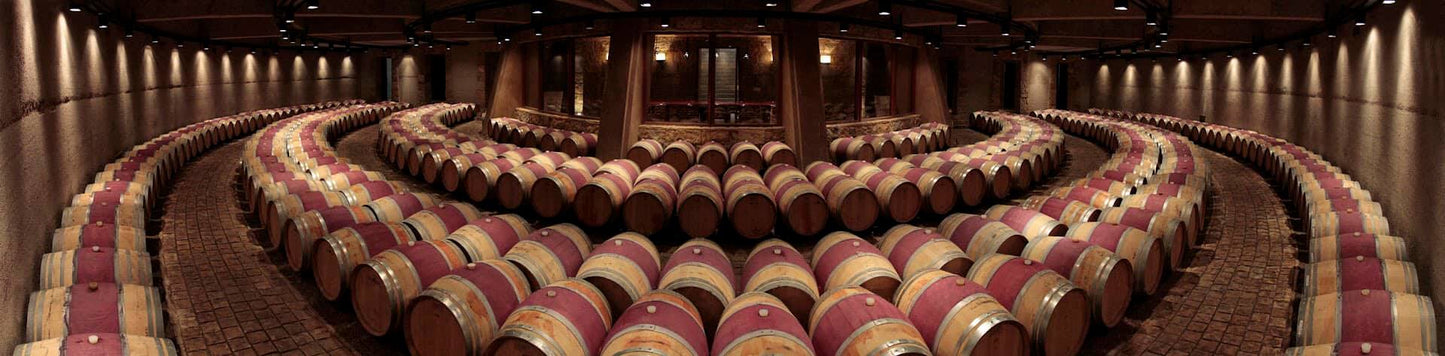 Malbec Argentino, CATENA ZAPATA, Mendoza