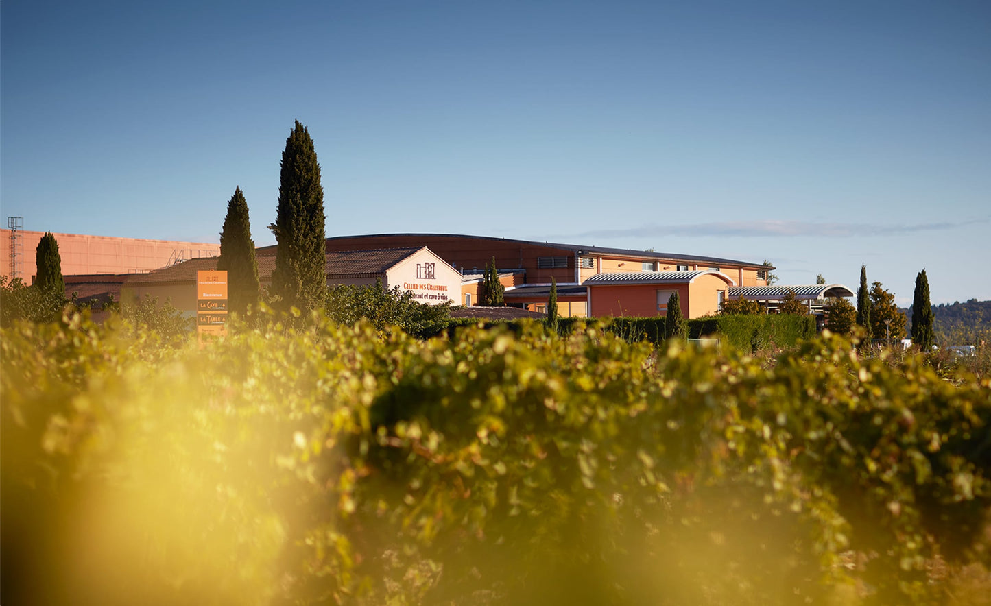 Chardonnay, CELLIERS CHARTREUX, "Les Amandiers", Rhone, France