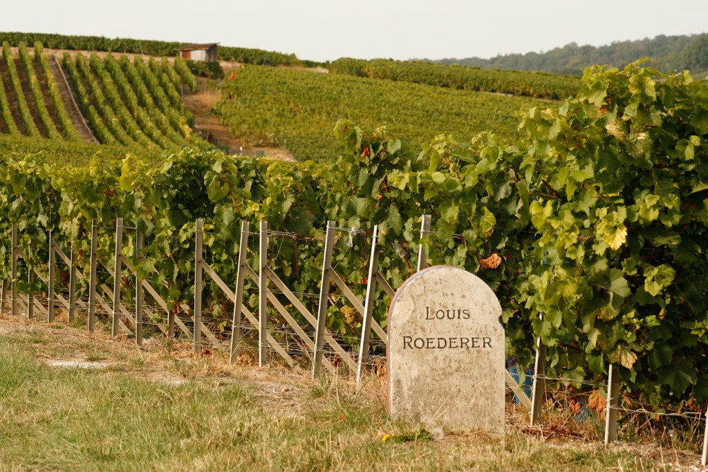 LOUIS ROEDERER, Collection 244, Champagne, MV