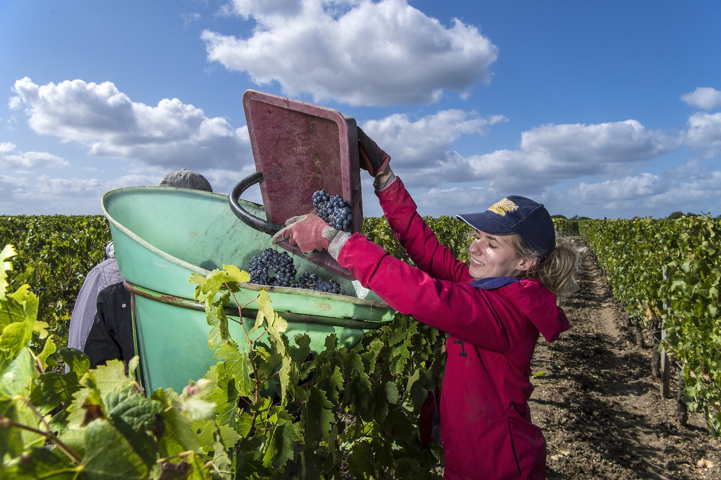 L'HOSPITALET DE GAZIN, Pomerol, 2014