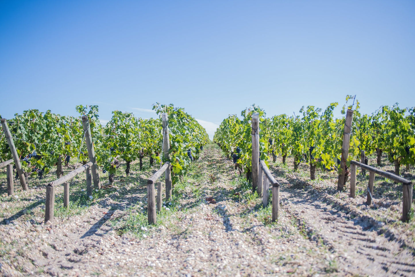 LE CLARENCE DE HAUT-BRION, Pessac-Leognan, 2010