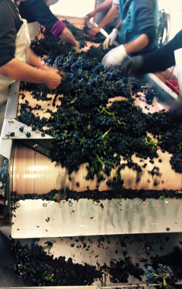 CHATEAU LA NERTHE, Chateauneuf-du-Pape, 2019