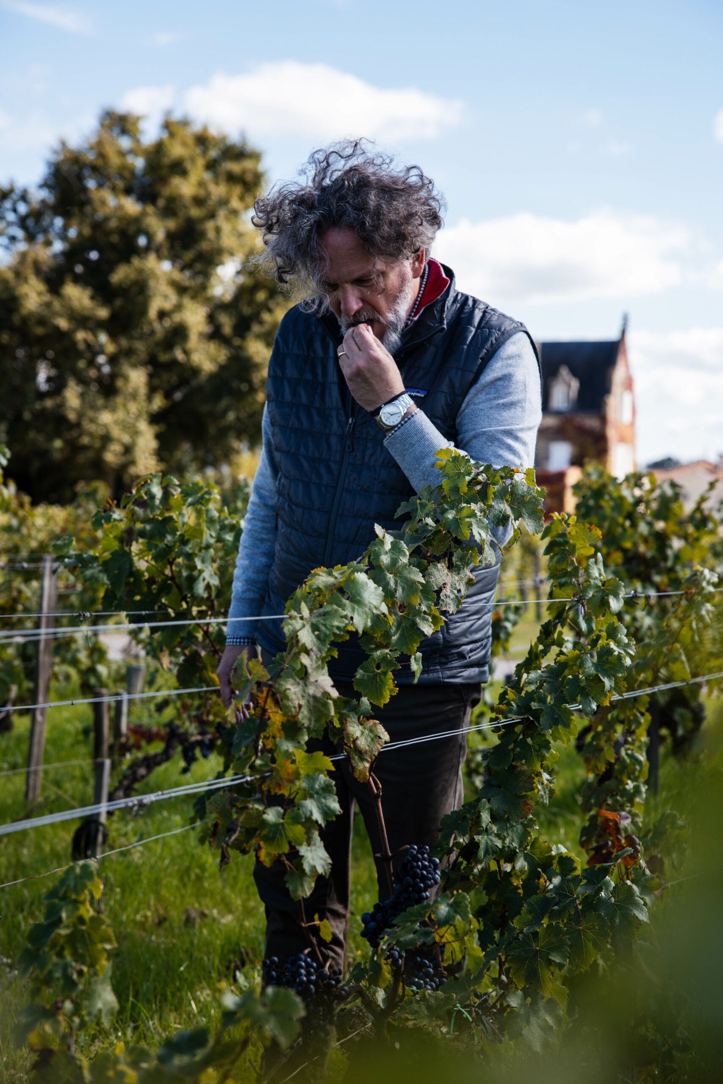 CHATEAU LASCOMBES, Margaux, 2018