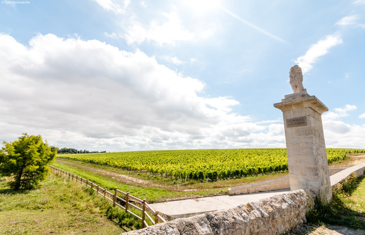 CHATEAU LEOVILLE LAS CASES, Saint-Julien, 1995