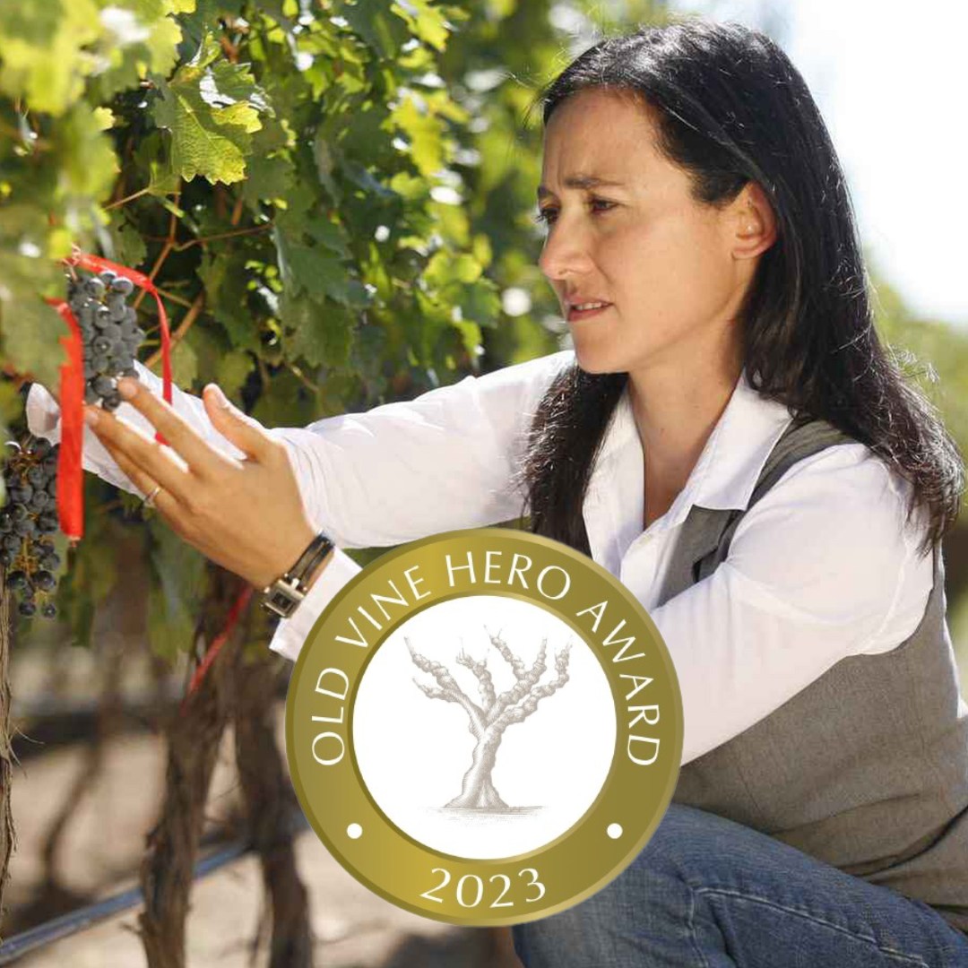 Malbec Argentino, CATENA ZAPATA, Mendoza