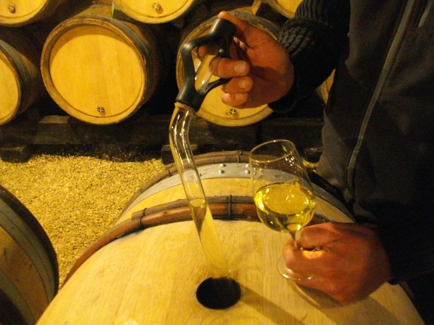 DOMAINE JOBARD-MOREY, Meursault "Les Tillets", 2022