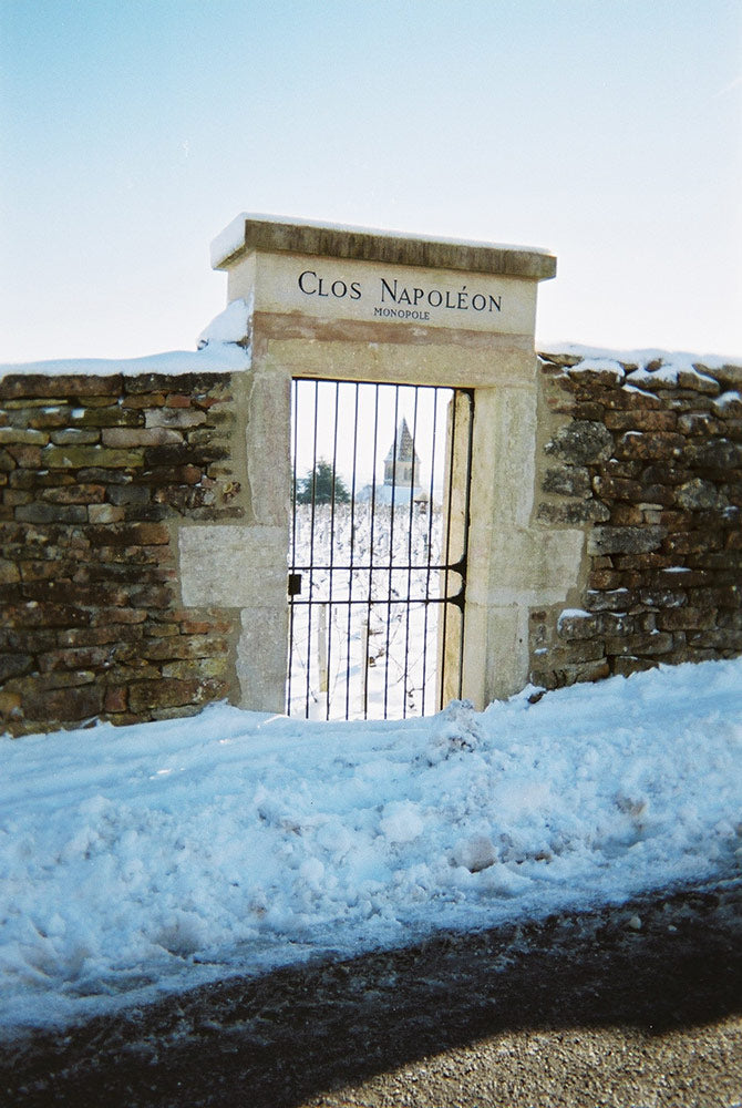 DOMAINE PIERRE GELIN, Fixin, Premier Cru Clos Napoleon-Monopole, 2020