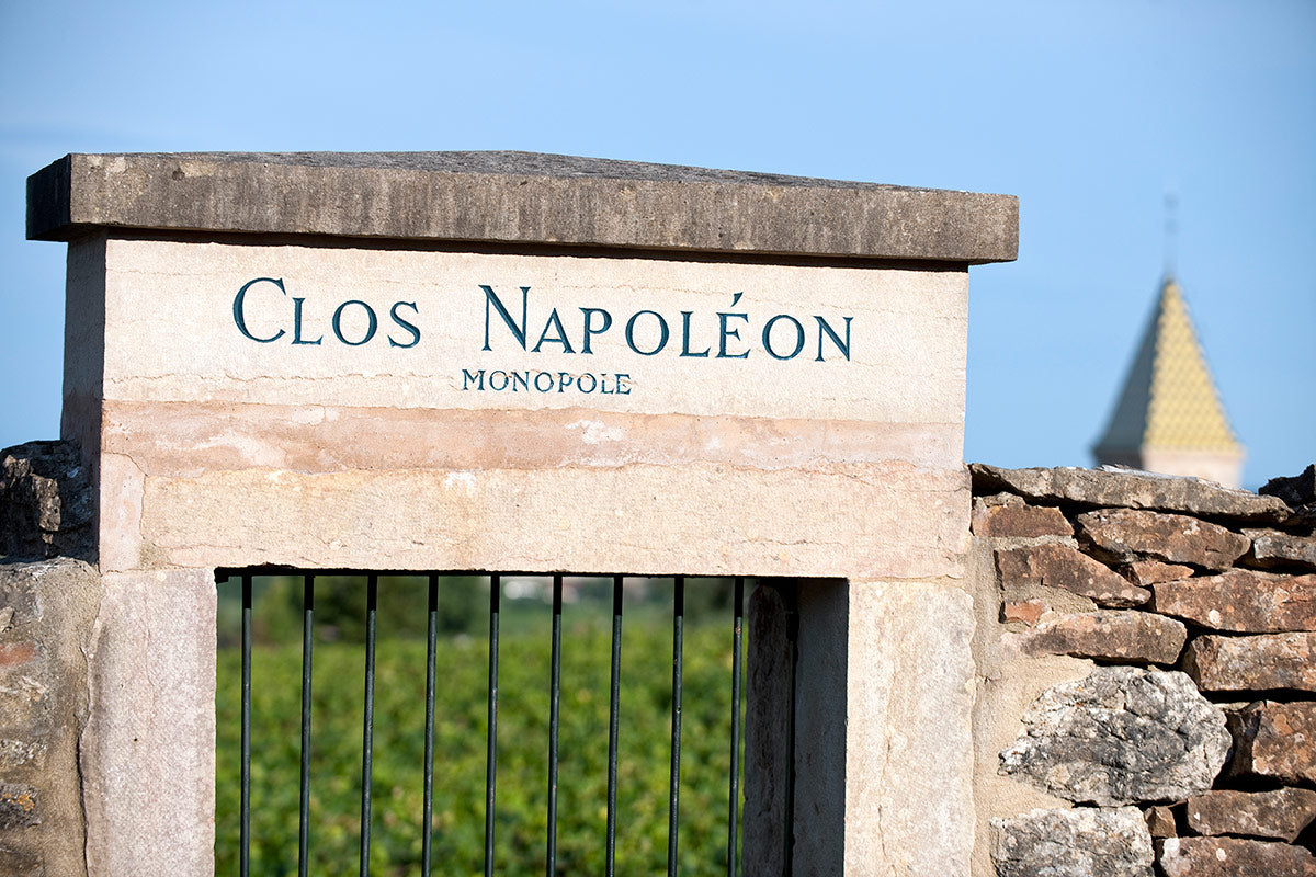 DOMAINE PIERRE GELIN, Fixin, Premier Cru Clos Napoleon-Monopole, 2020
