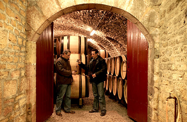 DOMAINE PIERRE GELIN, Fixin, Premier Cru Clos Napoleon-Monopole, 2020