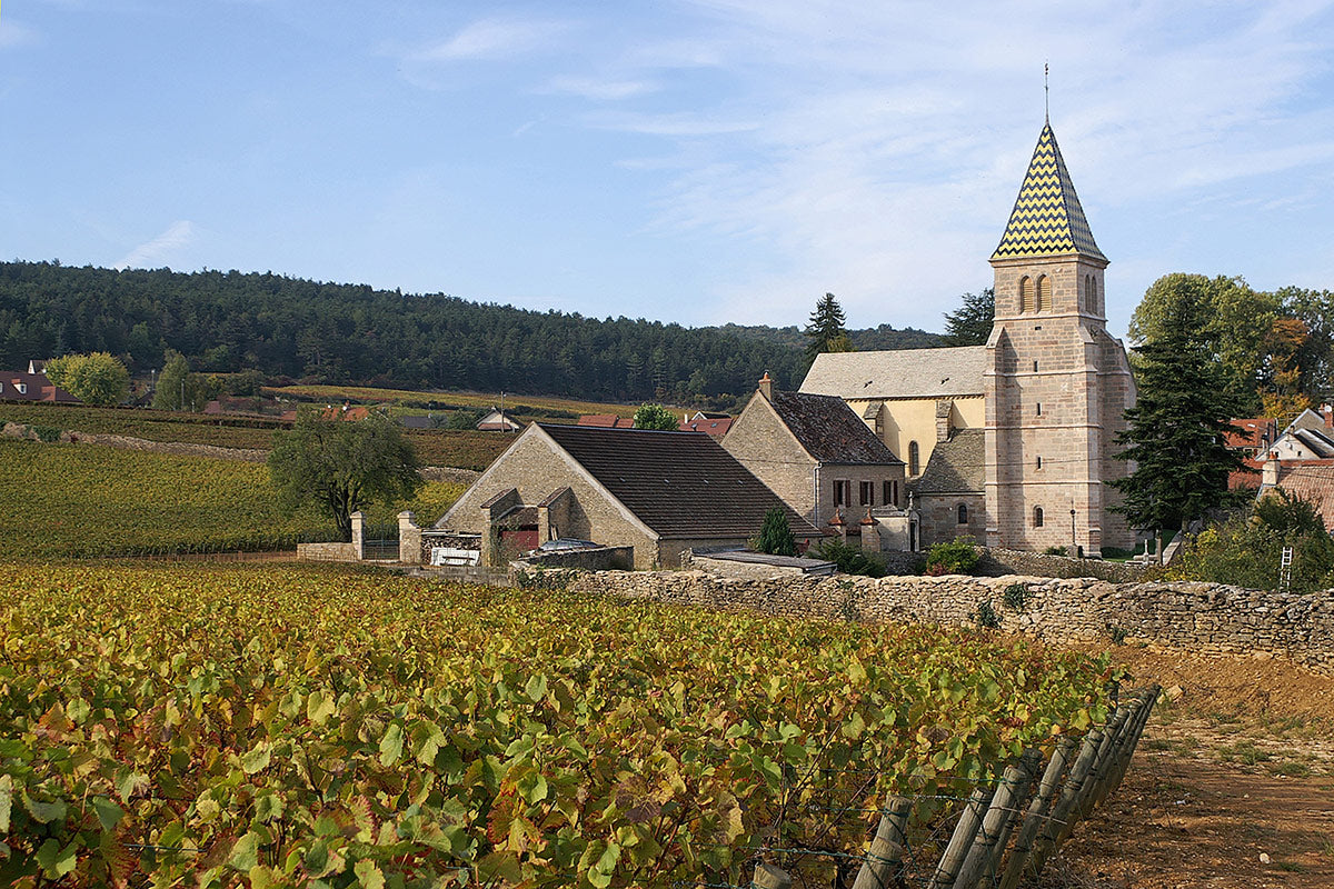 DOMAINE PIERRE GELIN, Fixin, Premier Cru Clos Napoleon-Monopole, 2020