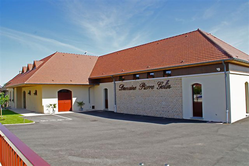 DOMAINE PIERRE GELIN, Fixin, Premier Cru Clos Napoleon-Monopole, 2020