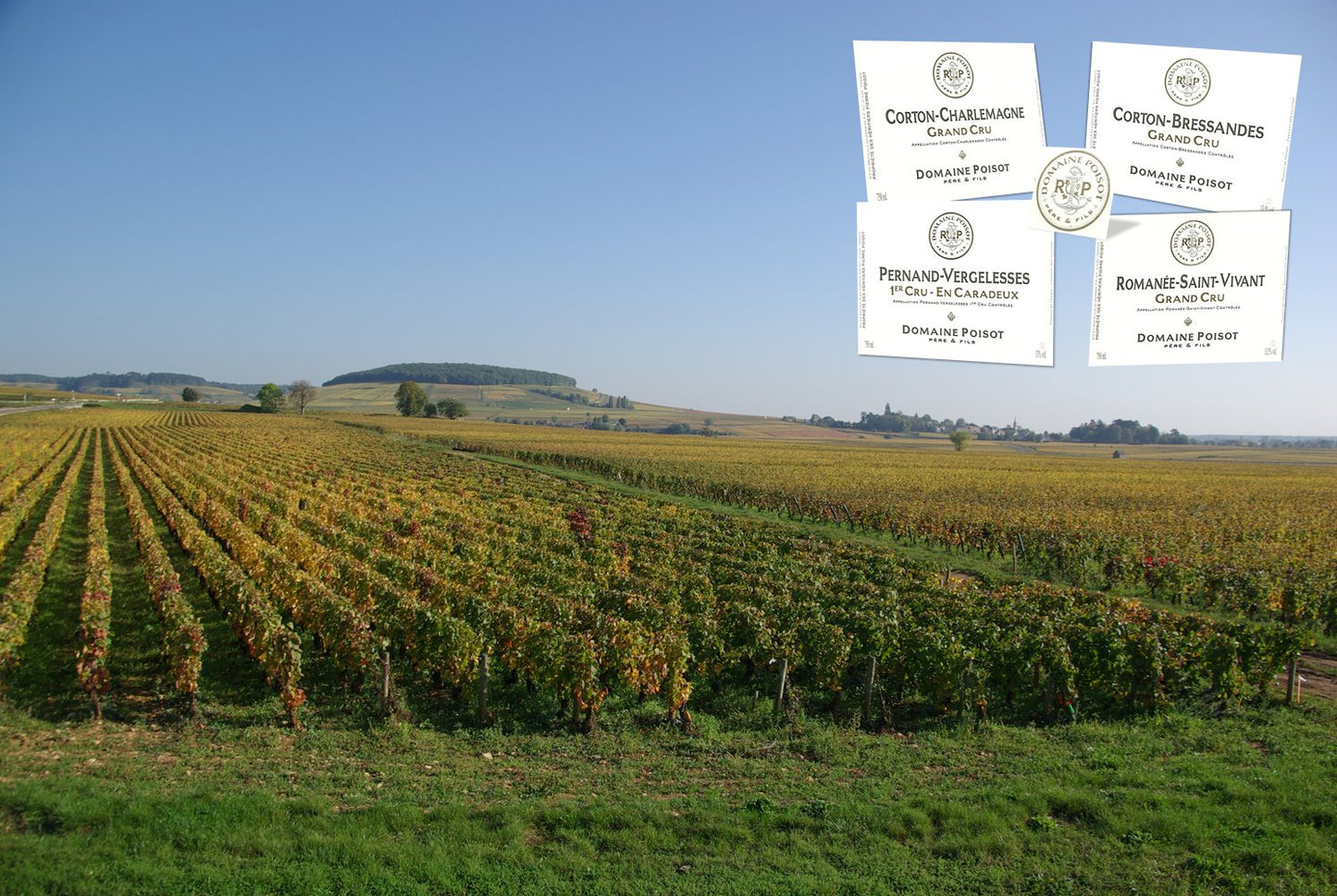 DOMAINE POISOT, Pernand-Vergelesses Premier Cru En Caradeux, 2020