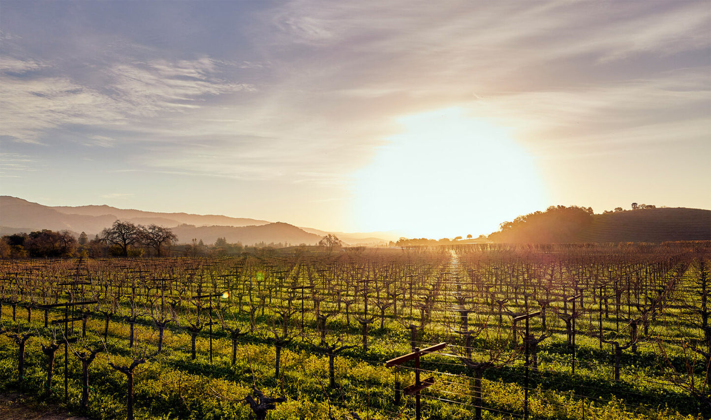 NAPANOOK, Cabernet Sauvignon Blend, Napa Valley, 2019
