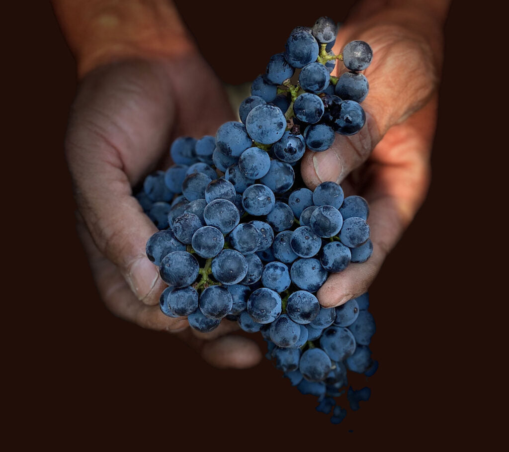 NAPANOOK, Cabernet Sauvignon Blend, Napa Valley, 2019