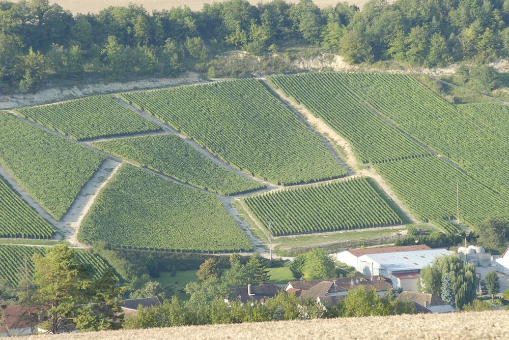 DRAPPIER, Grande Sendree, Champagne, 2012