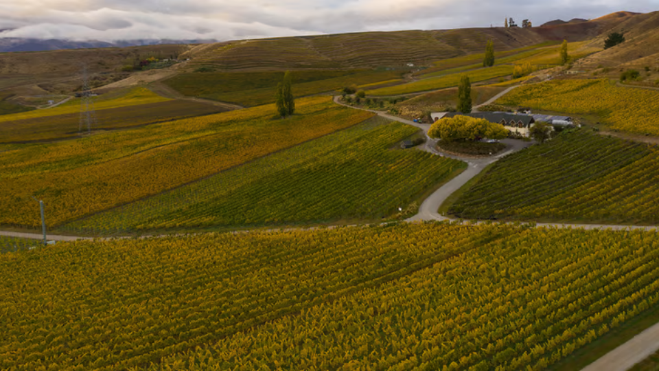FELTON ROAD, Block 6 Chardonnay, Central Otago, 2021