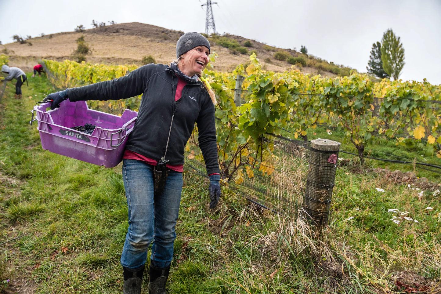 FELTON ROAD, Pinot Noir, MacMuir Vineyard, Central Otago, 2022