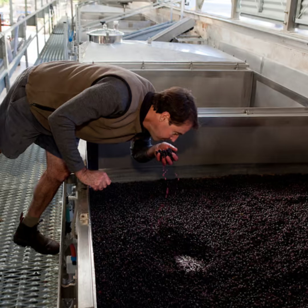 FELTON ROAD, Pinot Noir, MacMuir Vineyard, Central Otago, 2022