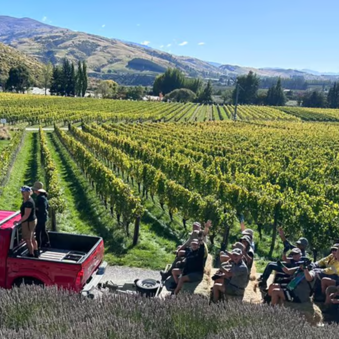 FELTON ROAD, Pinot Noir, MacMuir Vineyard, Central Otago, 2022