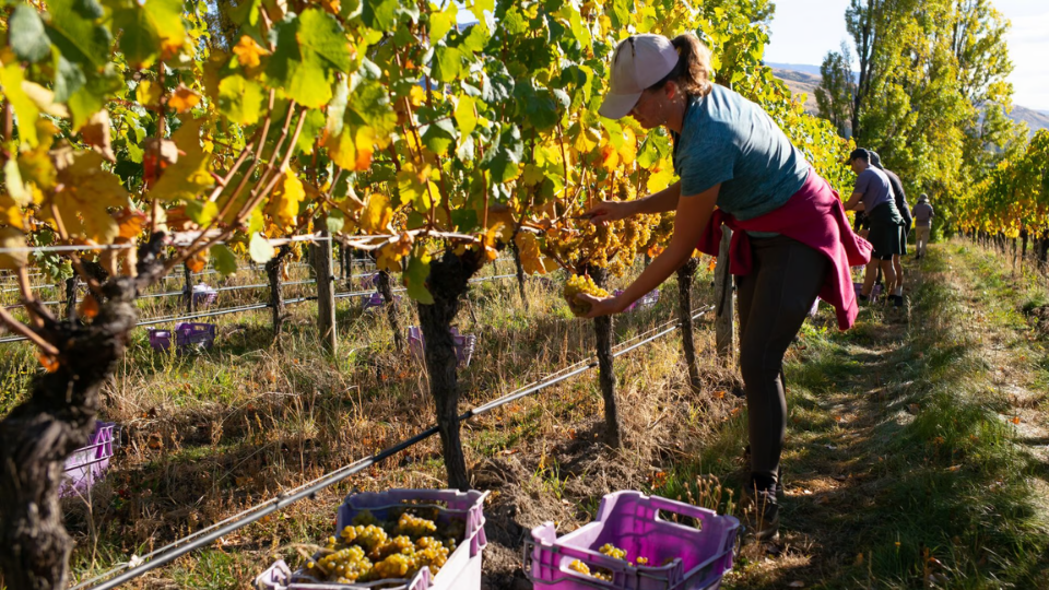 FELTON ROAD, Block 6 Chardonnay, Central Otago, 2021