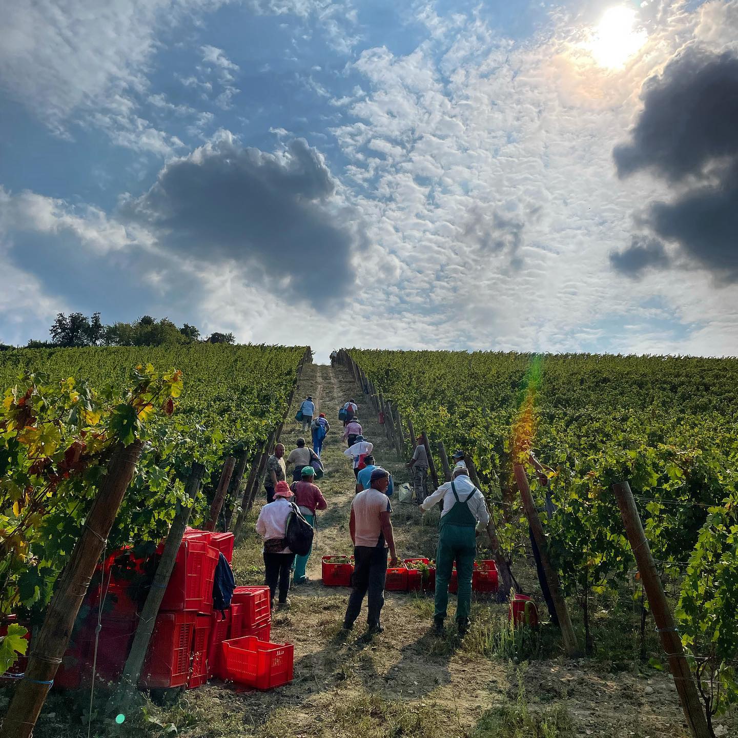 GD VAJRA, Barolo Albe, 2020