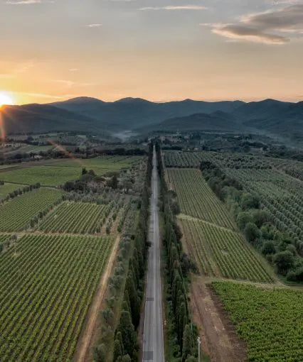 SUPER TUSCAN BUNDLE - Sassicaia and Guidalberto