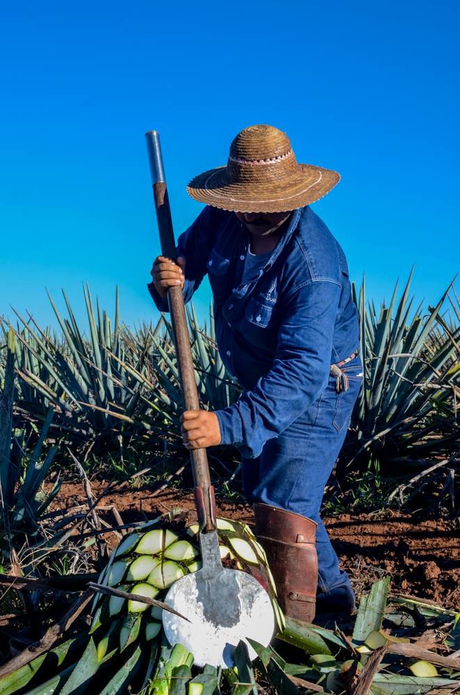 HERRADURA, Seleccion Suprema, Tequila, Extra Anejo