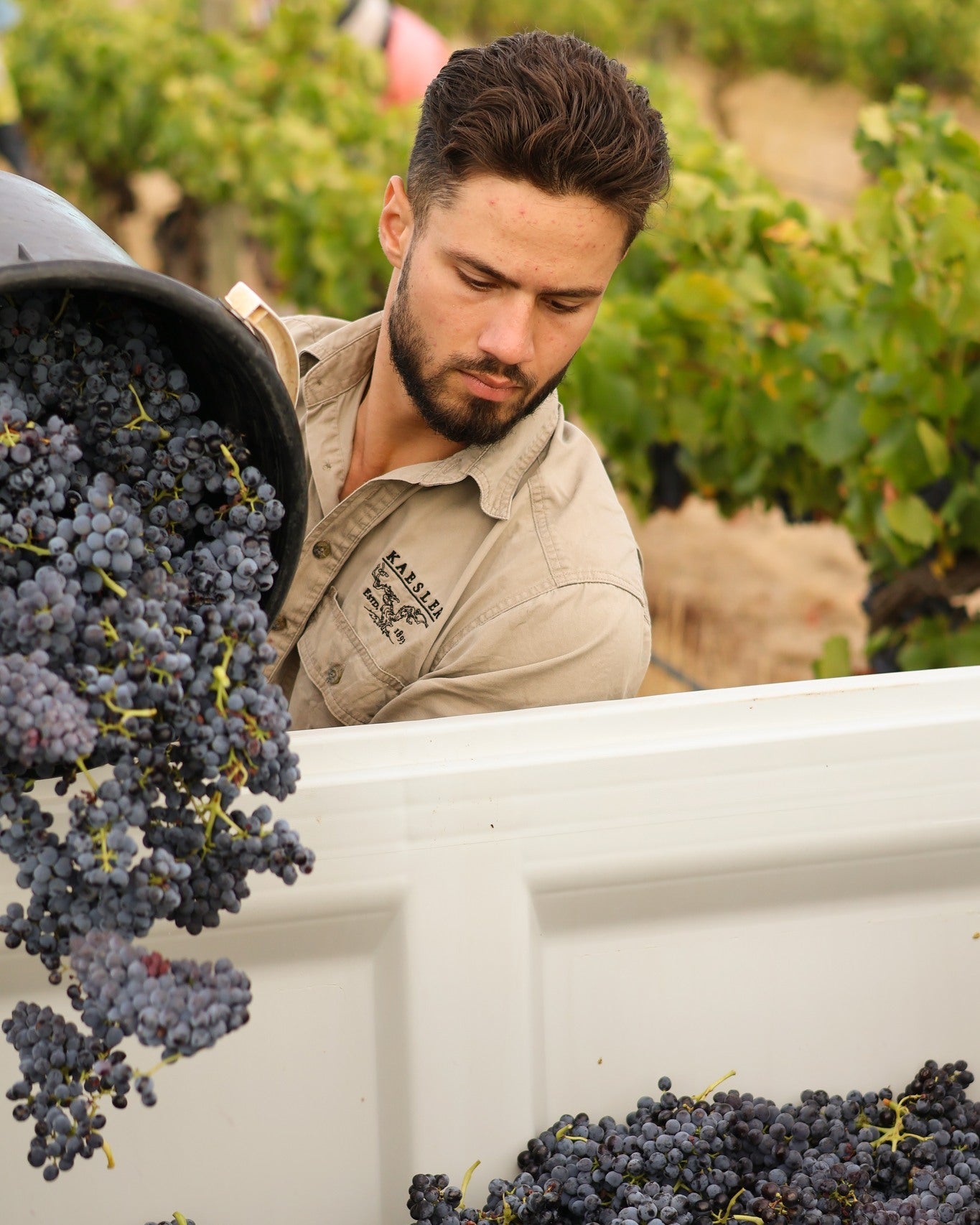 KAESLER, The Bogan, Shiraz, Barossa Valley, 2021