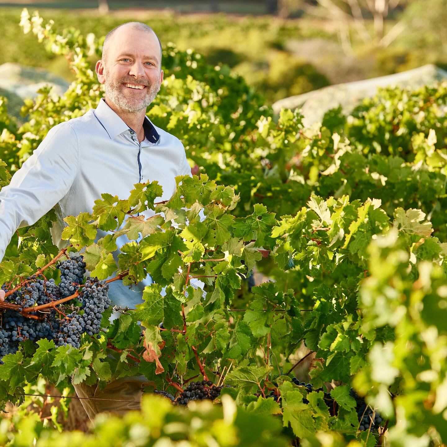 LEEUWIN ESTATE, Art Series Shiraz, Margaret River, 2022