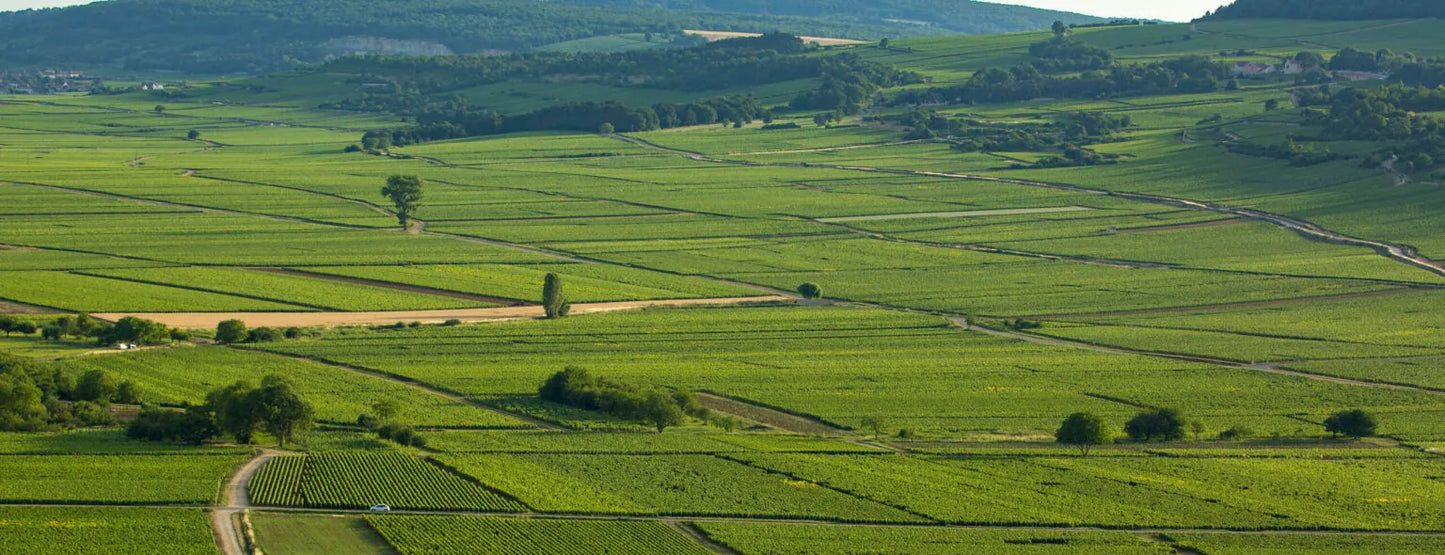 OLIVIER LEFLAIVE, Meursault Premier Cru Poruzots, 2022