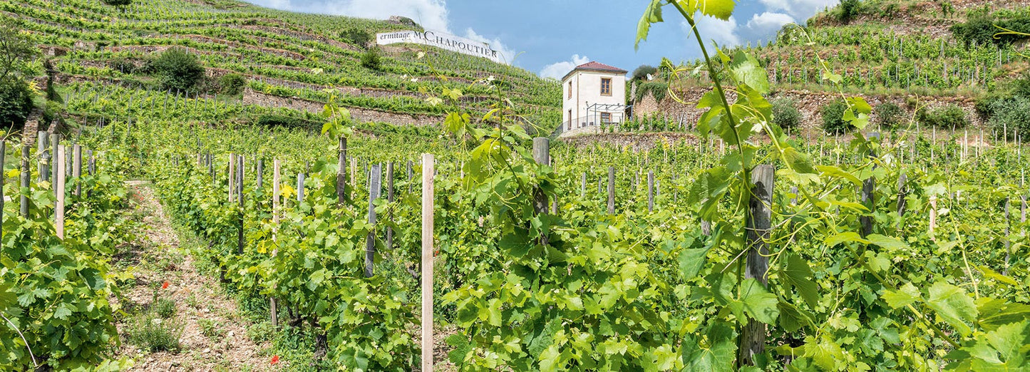 MICHEL CHAPOUTIER, Hermitage, Le Pavillon, 2003