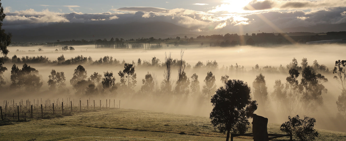 MOUNT MARY, Quintet, Yarra Valley, 2015