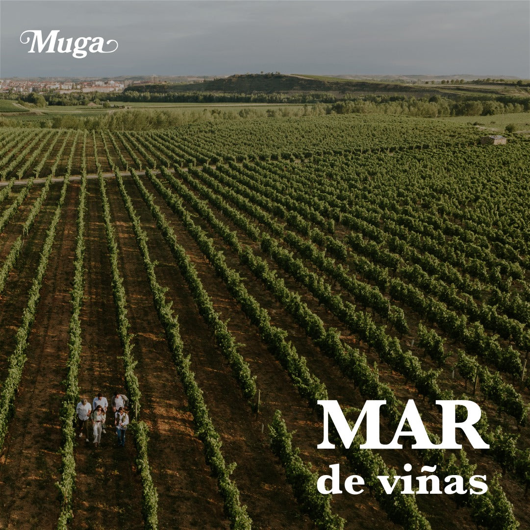 BODEGAS MUGA, Seleccion Especial, Rioja 2019