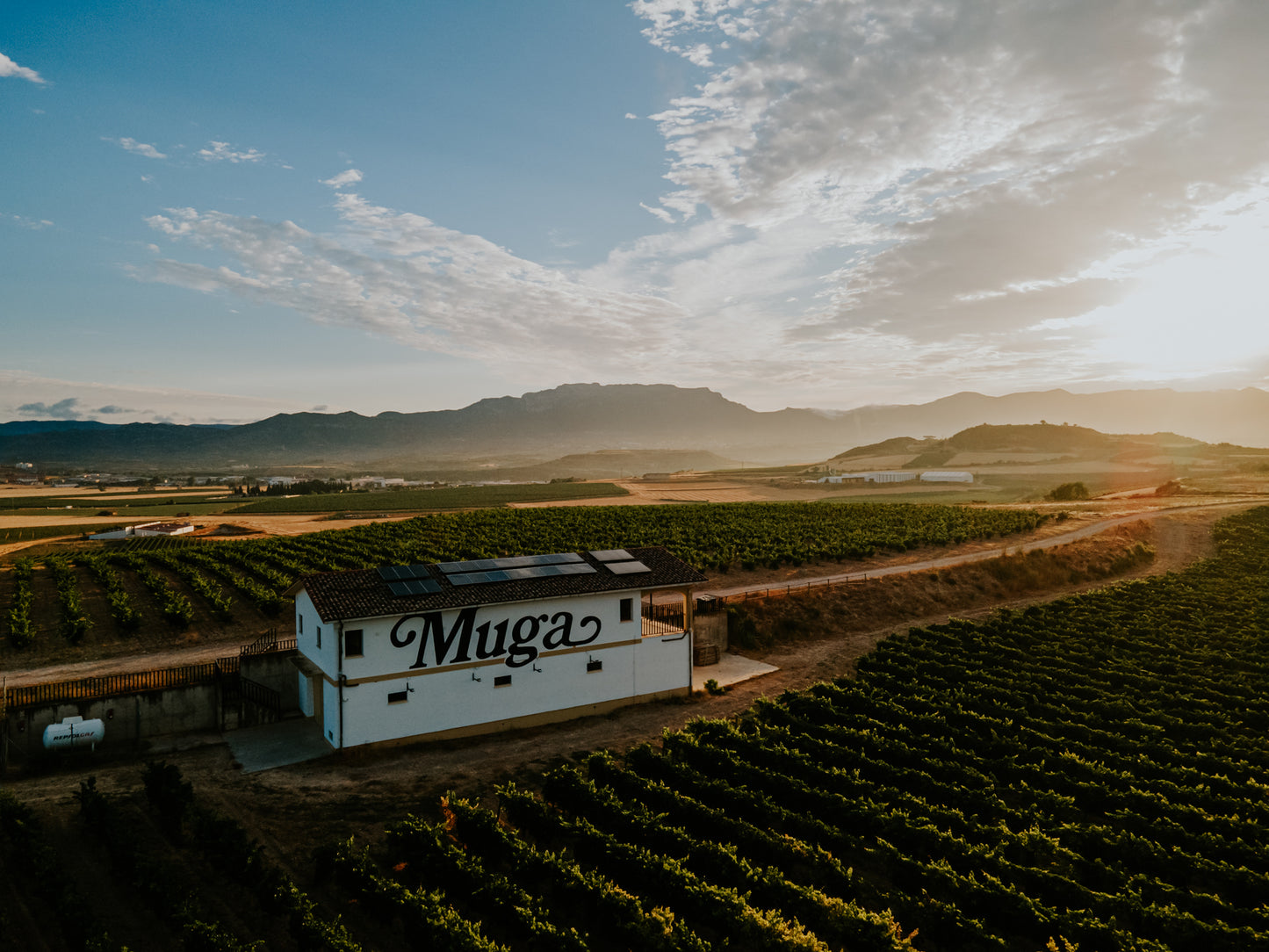 BODEGAS MUGA, Flor de Muga Blanco, Rioja, 2020