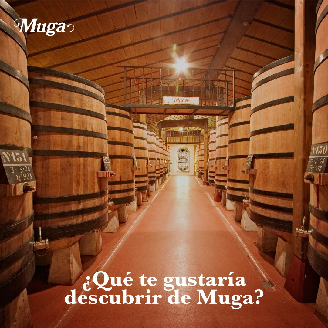 BODEGAS MUGA, Flor de Muga Blanco, Rioja, 2020