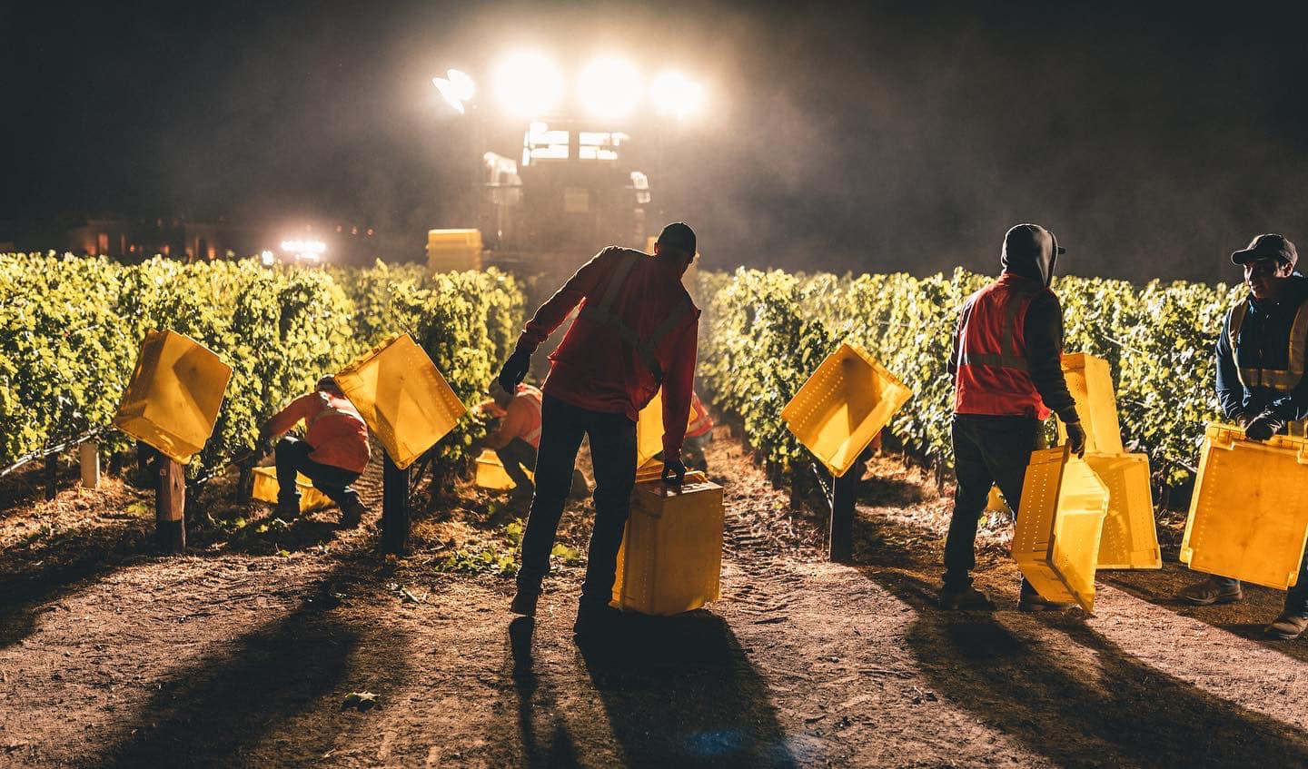 OPUS ONE, Napa Valley, 2018