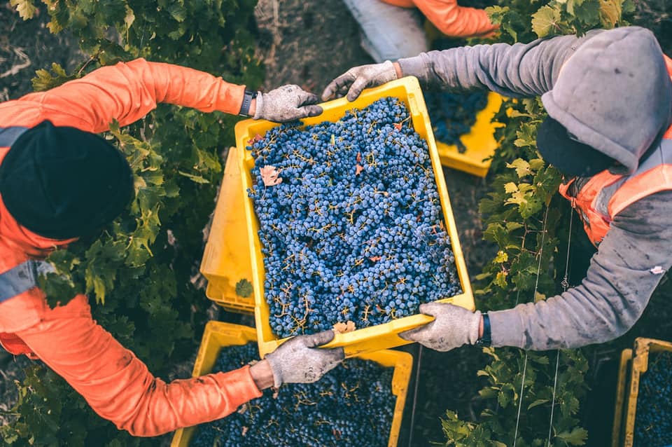 OPUS ONE, Napa Valley, 2018