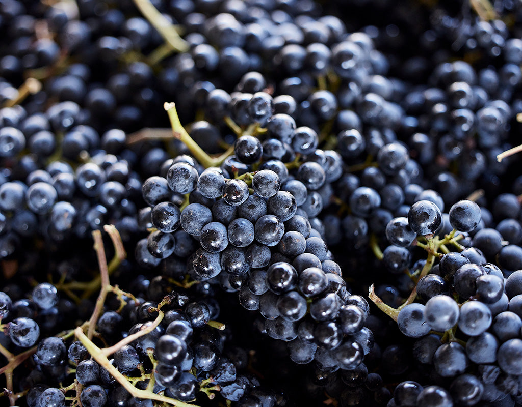 Merlot Blend, JAYSON BY PAHLMEYER, "Red Blend", Napa County, USA