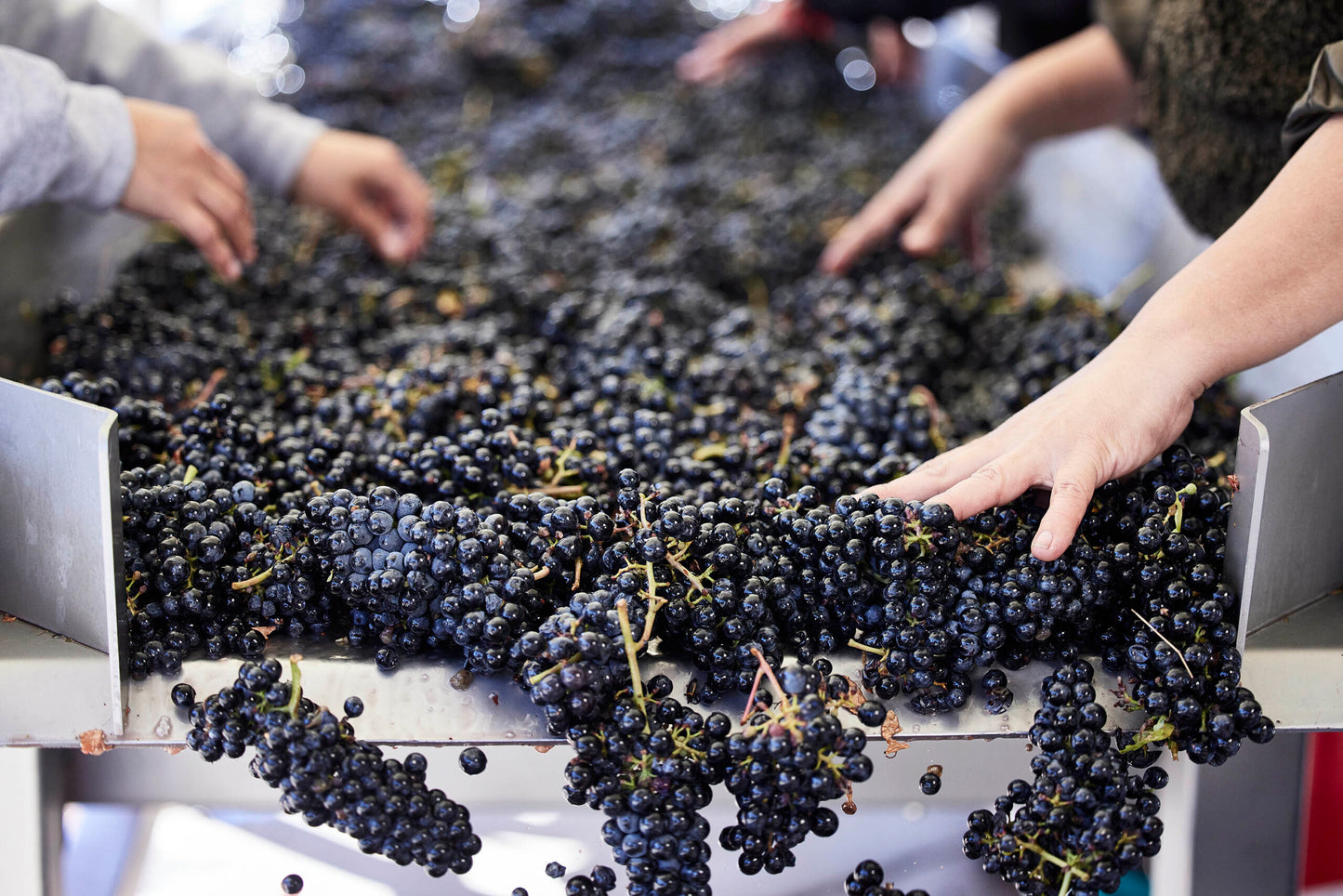 JAYSON BY PAHLMEYER, Cabernet Sauvignon, Napa Valley, 2020