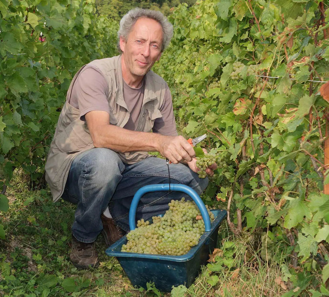 PASCAL DOQUET, Diapason, Grand Cru, Blanc de Blancs, Extra Brut, Champagne, NV