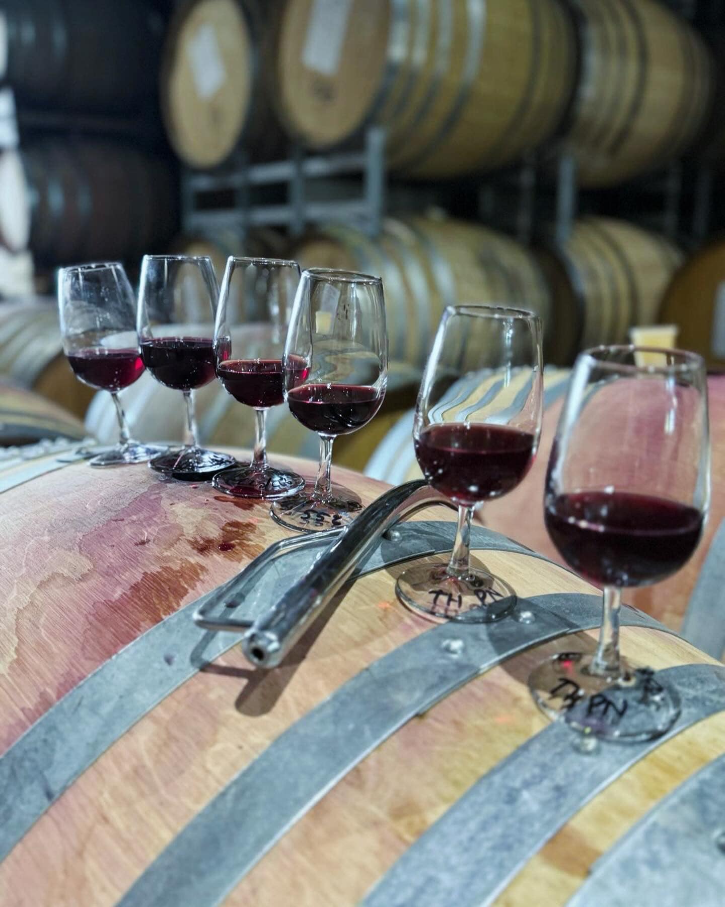 PEGASUS BAY, Pinot Noir, Prima Donna, Waipara Valley, 2019