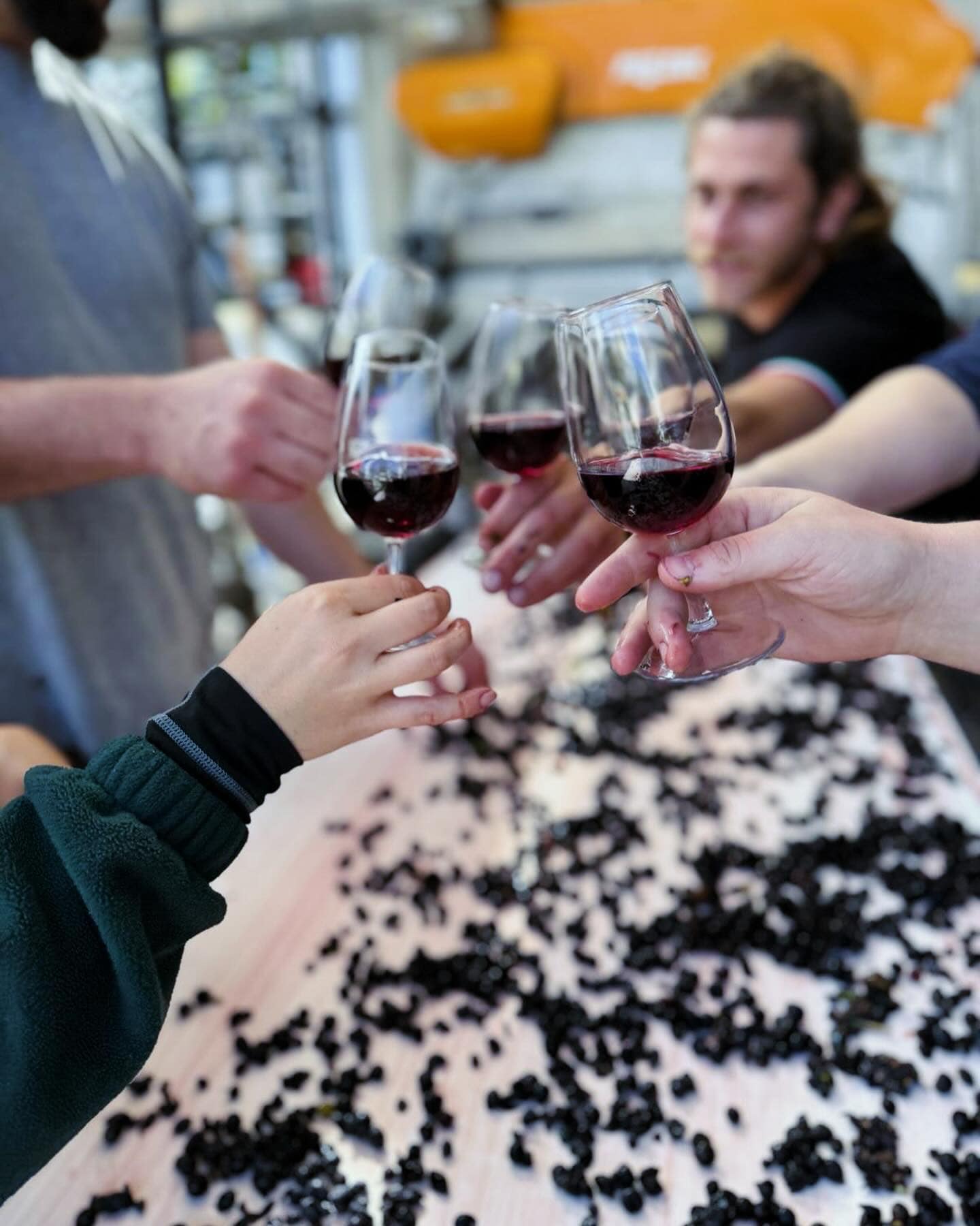 PEGASUS BAY, Pinot Noir, Prima Donna, Waipara Valley, 2019