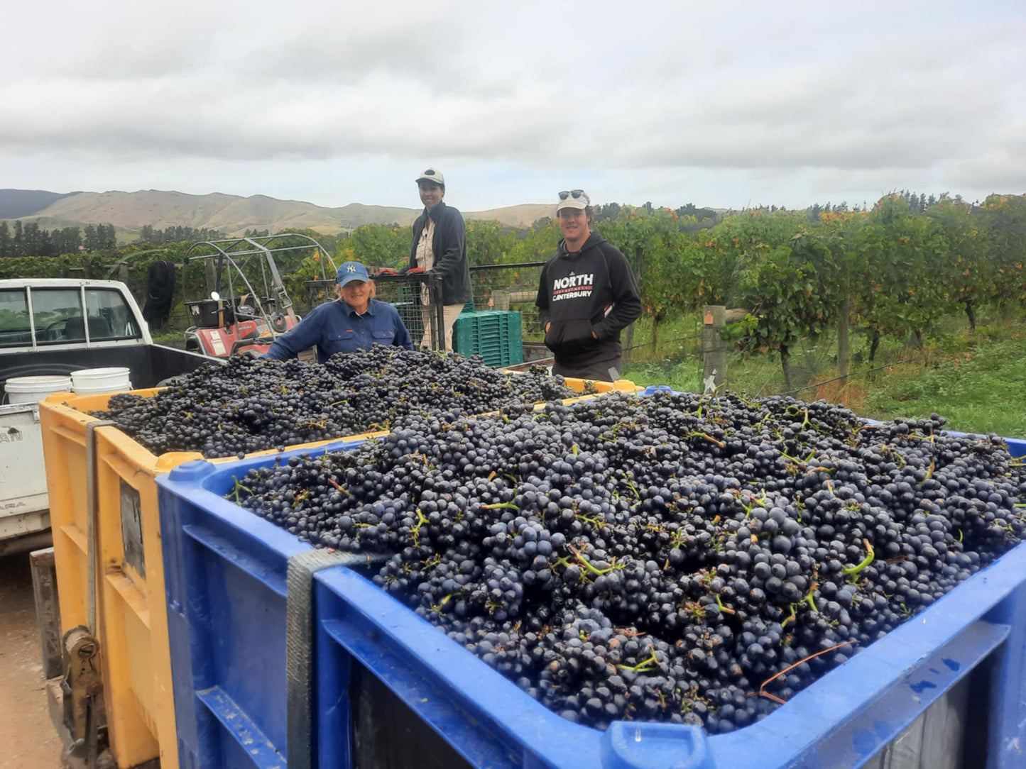 PEGASUS BAY, Pinot Noir, Prima Donna, Waipara Valley, 2019